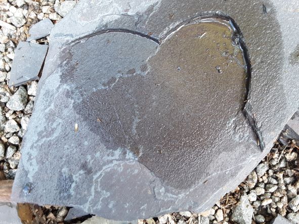 heart shaped rock