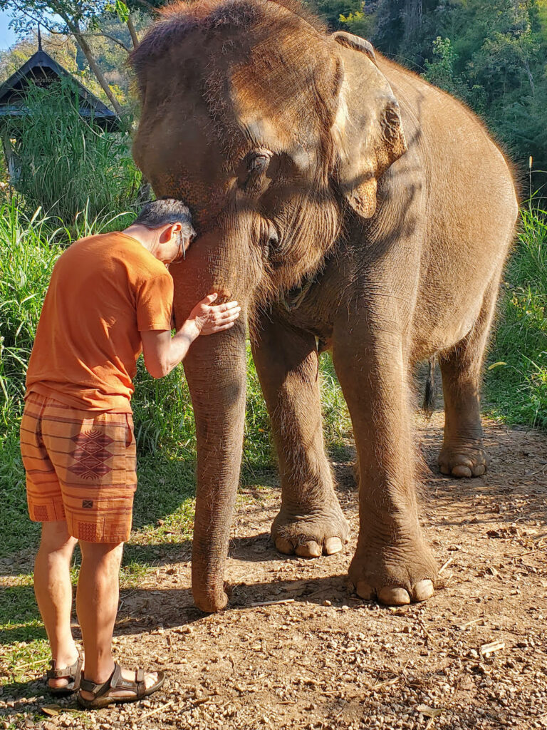 philippe hugging elephant